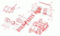 Cylinder   Piston para Aprilia Tuono V4 1100 Factory E4 ABS 2017