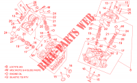 Cylinder head and valves para Aprilia SL Falco 2001